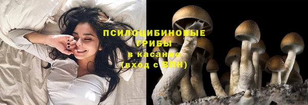соль курить ск Белокуриха