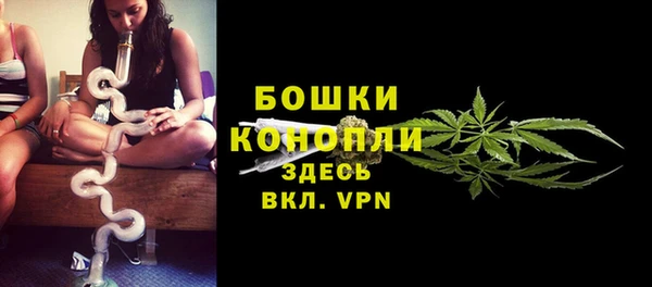 PSILOCYBIN Зерноград