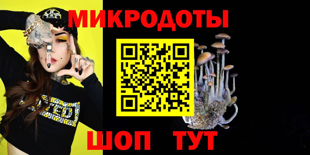 Галлюциногенные грибы Psilocybe Бутурлиновка